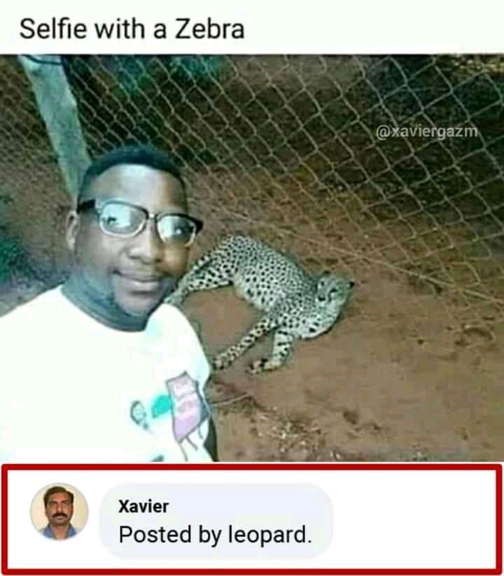 a man with glasses standing next to a cheetah