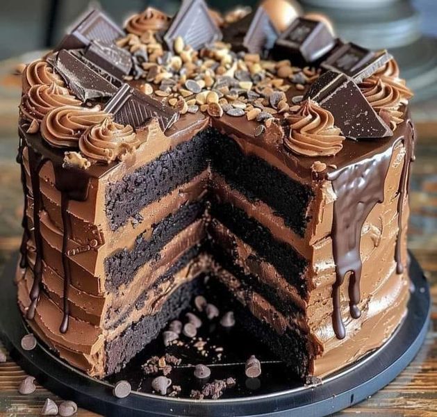 a chocolate layer cake with lots of chocolate frosting