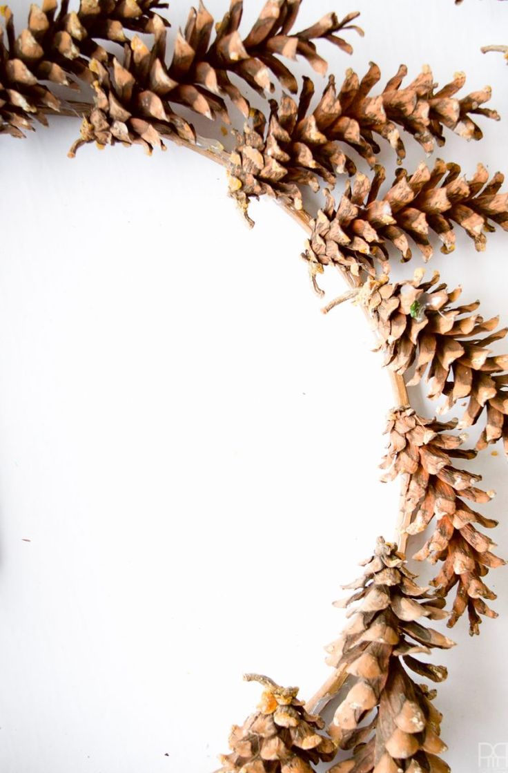 a bunch of pine cones sitting on top of a white surface