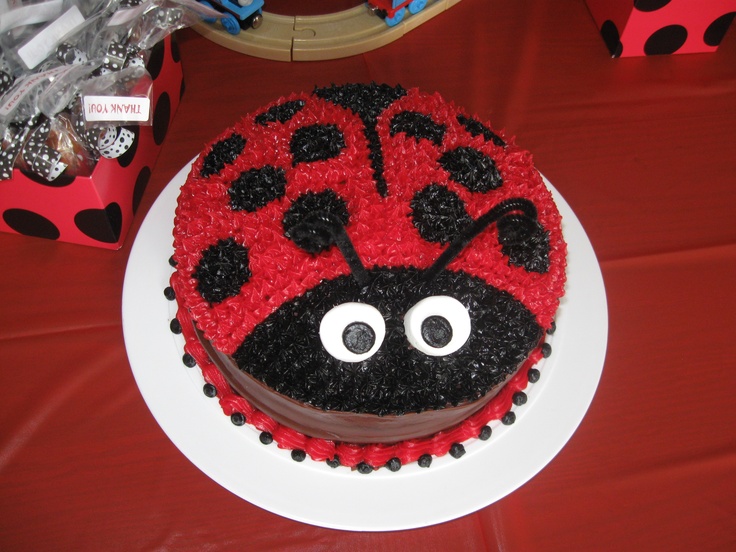 a lady bug cake on a table with red and black decorations