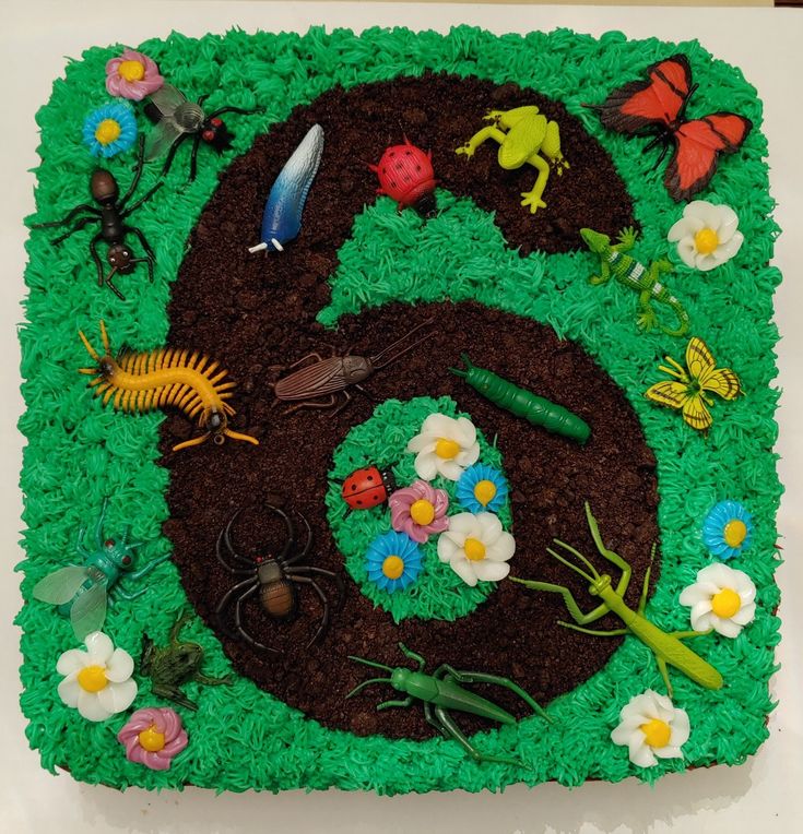 there is a cake that looks like the number six with flowers and bugs on it