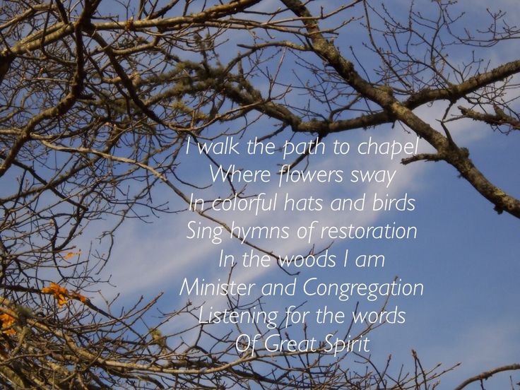 there is a poem written in front of the tree branches that have no leaves on them