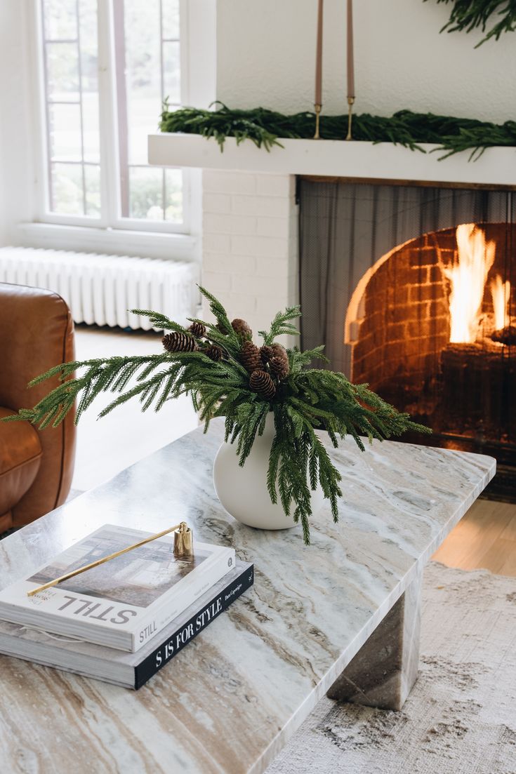 a white marble coffee table with a potted plant on top and two books in front of the fire place