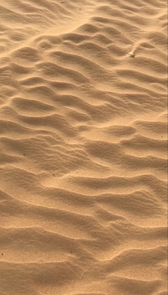 a bird is standing in the sand with its feet up