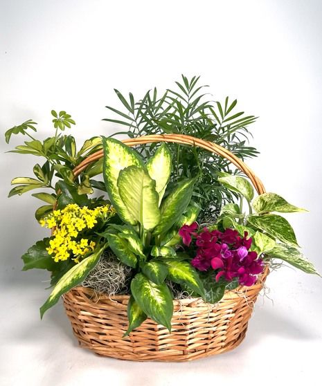 a wicker basket filled with lots of different types of flowers and plants in it