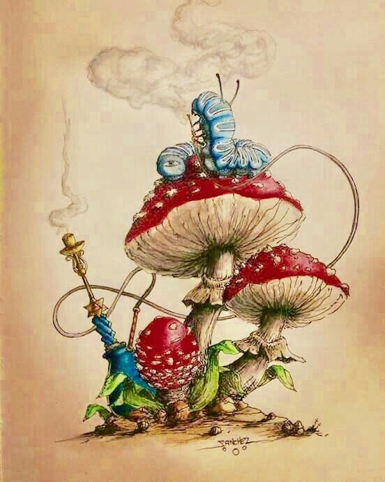 Colorful mushrooms and caterpillar Quotes Alice In Wonderland, Alice In Wonderland Mushroom, Tweedle Dee Tweedle Dum, Alice And Wonderland Tattoos, Alice In Wonderland Artwork, Alice In Wonderland Drawings, Tweedle Dum, Alice In Wonderland Illustrations, Wonderland Artwork