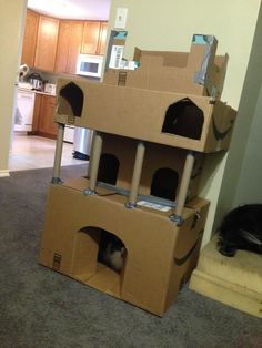 a black cat laying on top of a cardboard box in the middle of a living room