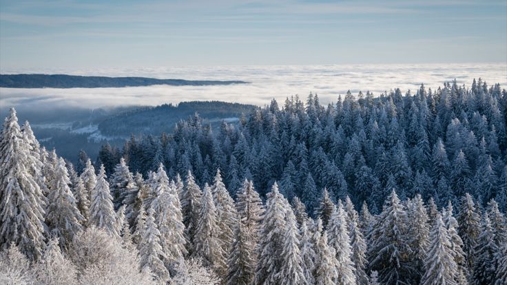 Hochschwarzwald