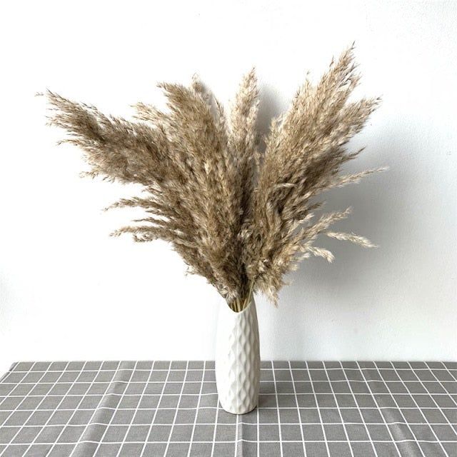 Dried Pampas With Vase-Pampas-White-20PCS-With Vase-Pampas Dried Pampas Grass Decor, Pampas Grass Vase, Plant Wedding, Plastic Vase, Dried Pampas, Decor Plants, Pampas Grass Decor, Grass Decor, Raw Color