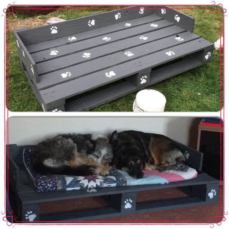 two dogs laying on top of a dog bed in the grass next to each other