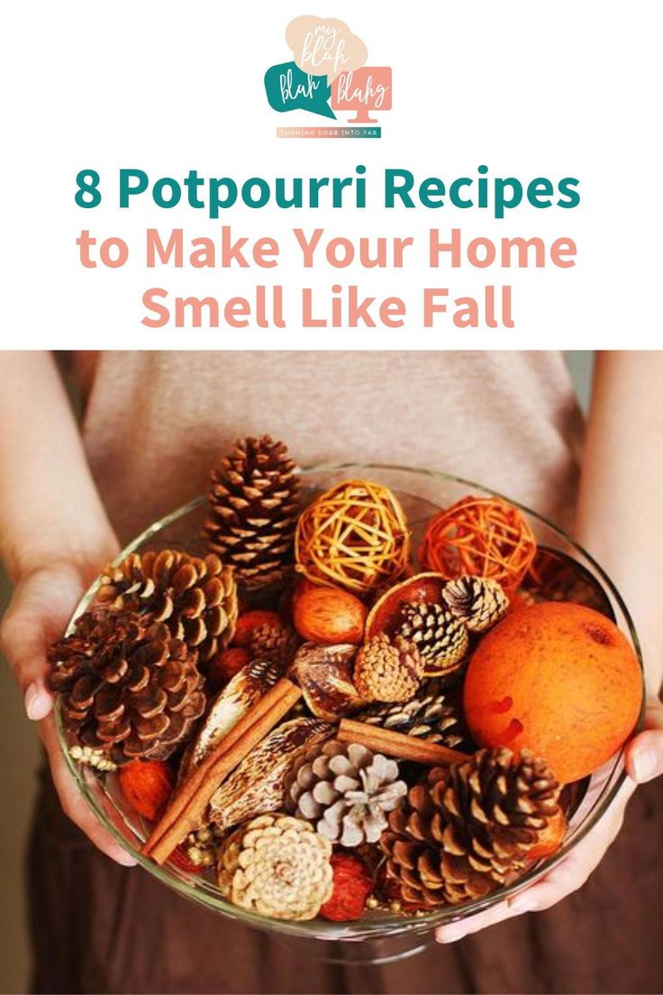 a person holding a bowl filled with pine cones, nuts and other things to make your home smell like fall