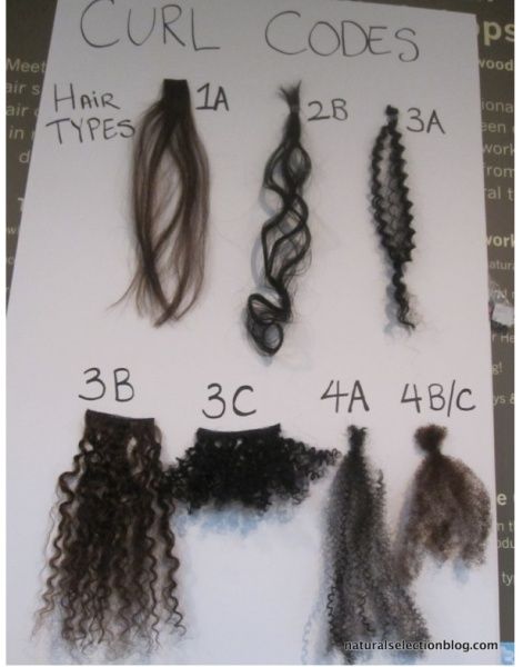 Hair Type Chart, Wig Tutorials, Art Exercises, Hair Chart, Hair Recipes, Celebrity Hairstylist, Bios Para Instagram, Short Grunge Hair, Classic Chanel