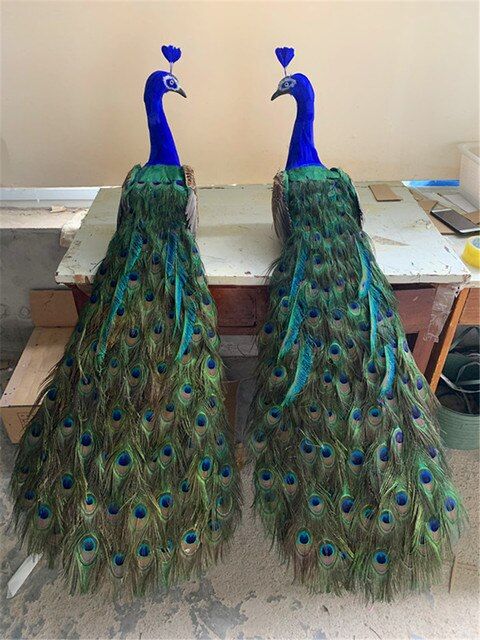 two peacocks are standing next to each other