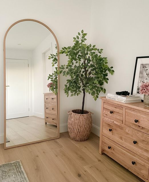 there is a plant in a pot on the dresser next to a mirror and chest of drawers