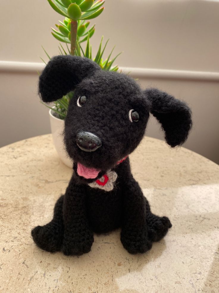 a small black dog sitting on top of a table next to a potted plant