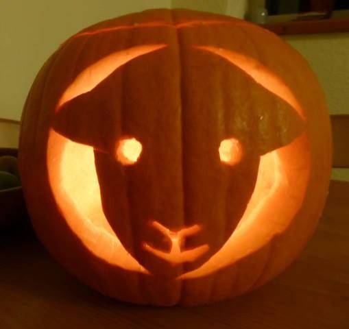 a pumpkin carved to look like a cat