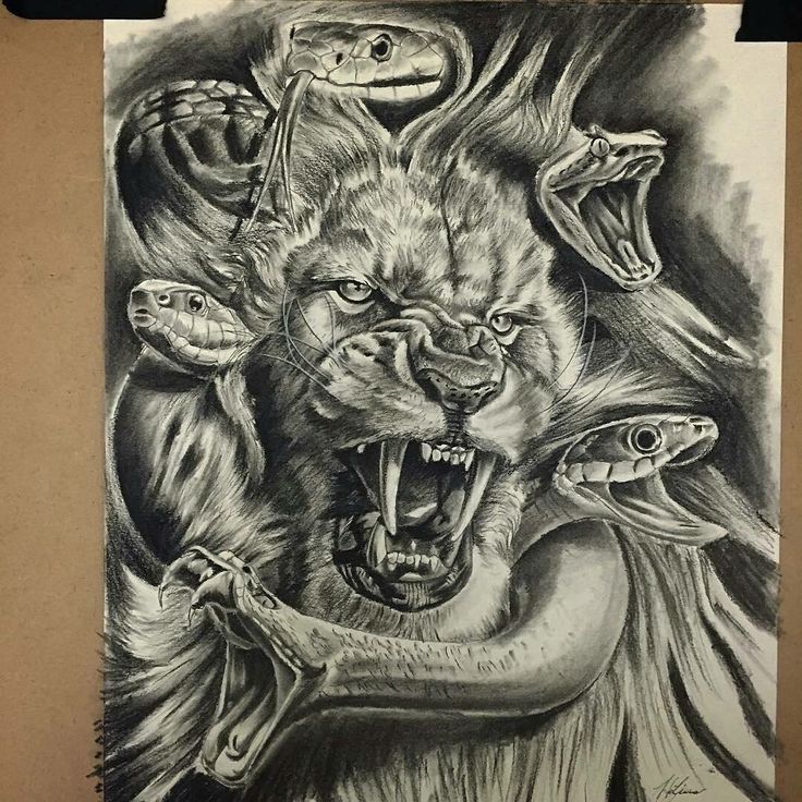 a drawing of a lion with its mouth open and two snakes crawling around it's neck