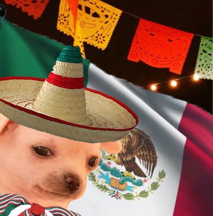 a dog wearing a sombrero with mexican flags in the background