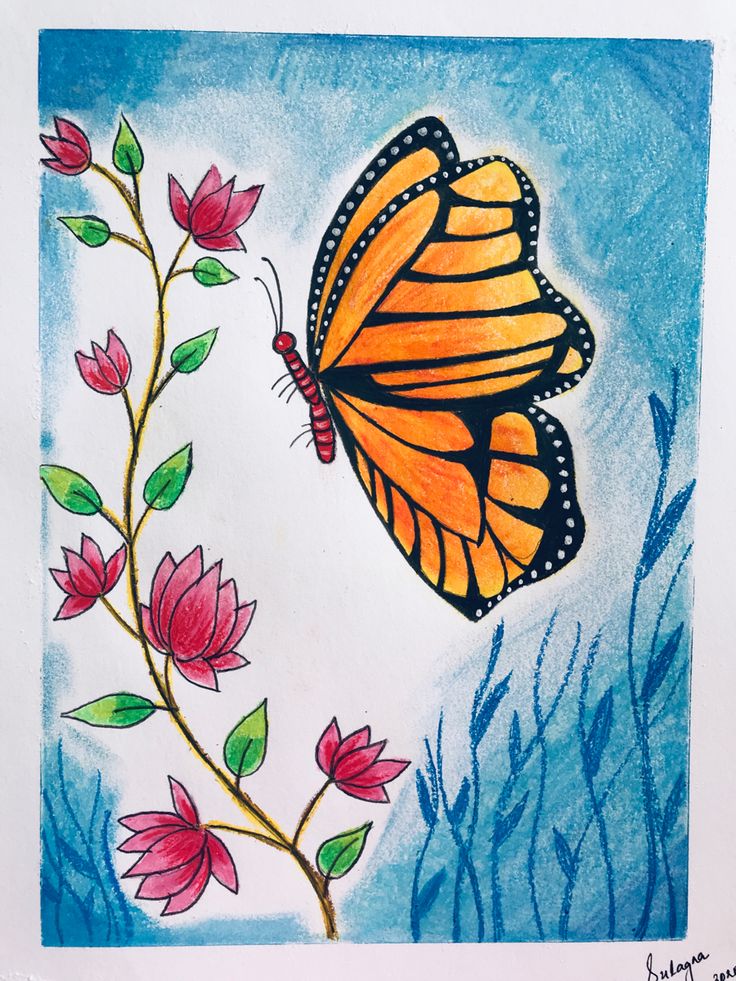 a drawing of a butterfly on a flower