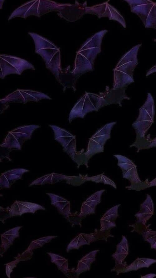 a group of bats flying in the night sky