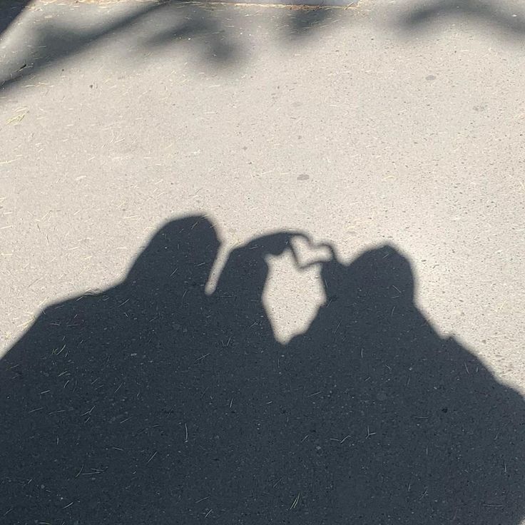 It’s a picture of a shadow of two hijabis holding their hands out to form a shadow heart 
And it’s sunny Aesthetic Insta Story, Pic Aesthetic, No Face, Insta Story, Light And Shadow, Kittens Cutest, Cats And Kittens, Kittens, In This Moment