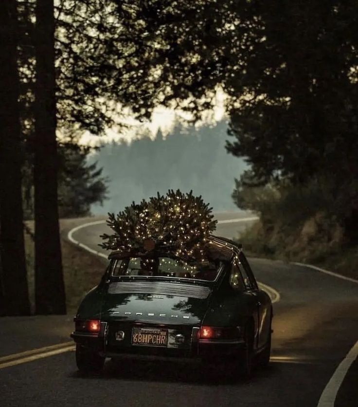 a car with a christmas tree on the roof driving down a road in the woods