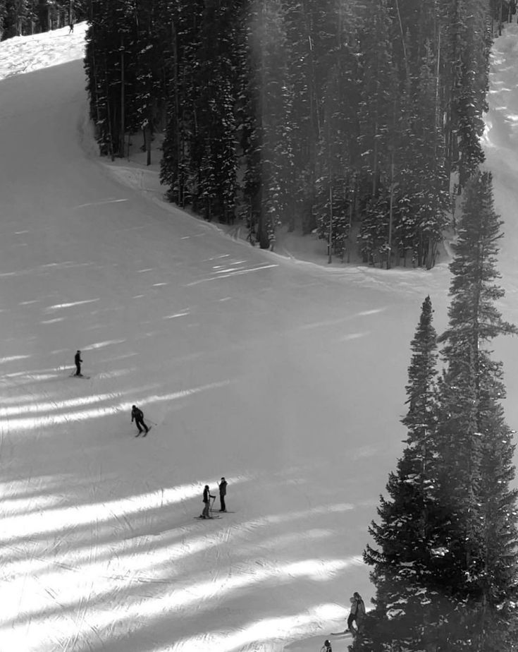 several people skiing down a snow covered slope with trees in the backgrouds