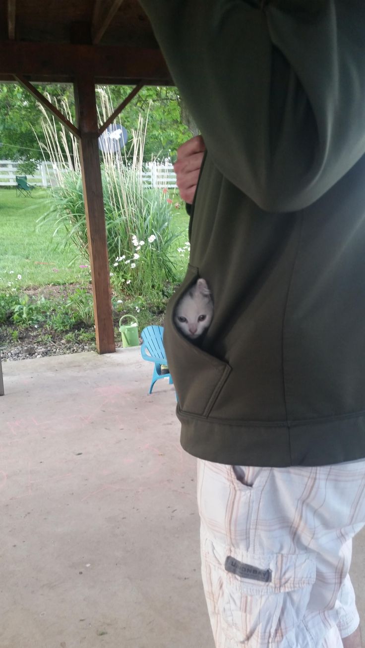 a man in shorts and a hoodie with a small animal on his back pocket