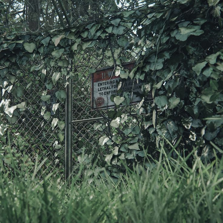 an old fence with vines growing over it and a sign that says no trespassion