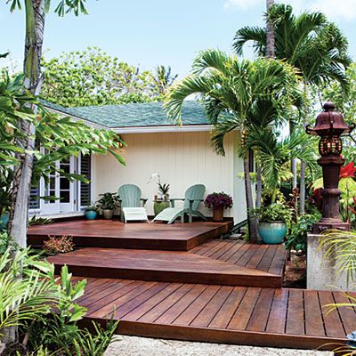 a wooden deck surrounded by palm trees and potted plants