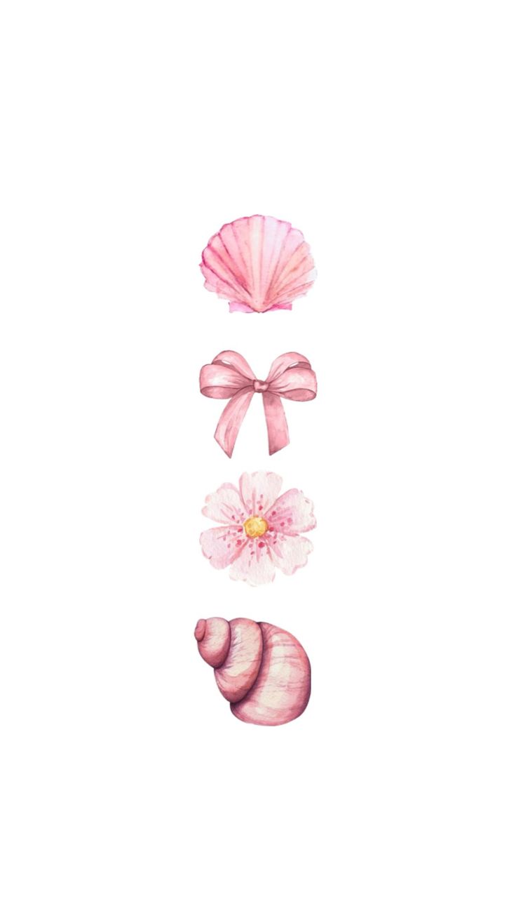 three seashells, one pink and one white with a bow on the side