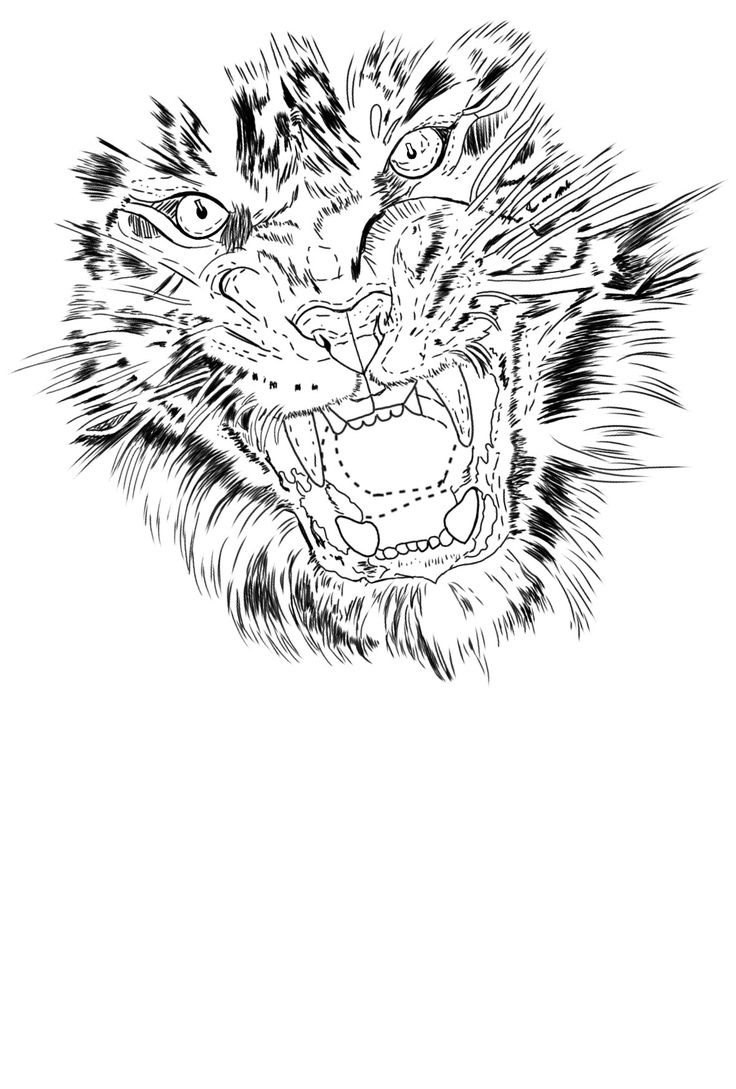 a black and white drawing of a tiger's face with its mouth open, showing teeth