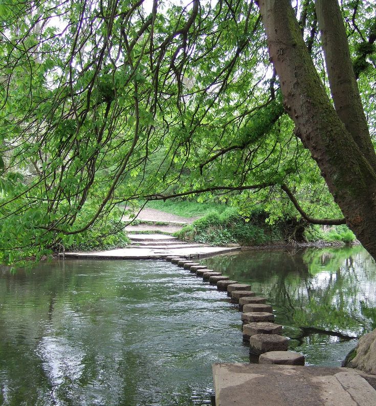 stepping stones are lined up along the water