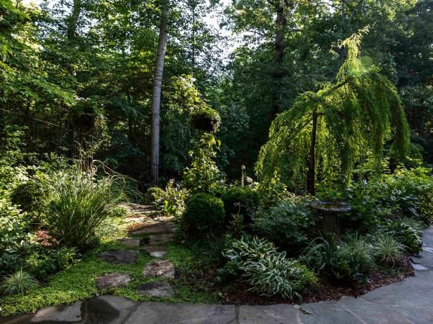 a stone path surrounded by trees and plants