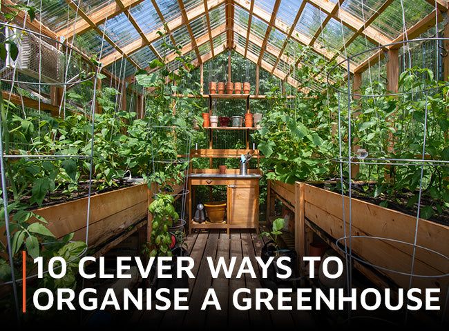 the inside of a greenhouse with lots of plants