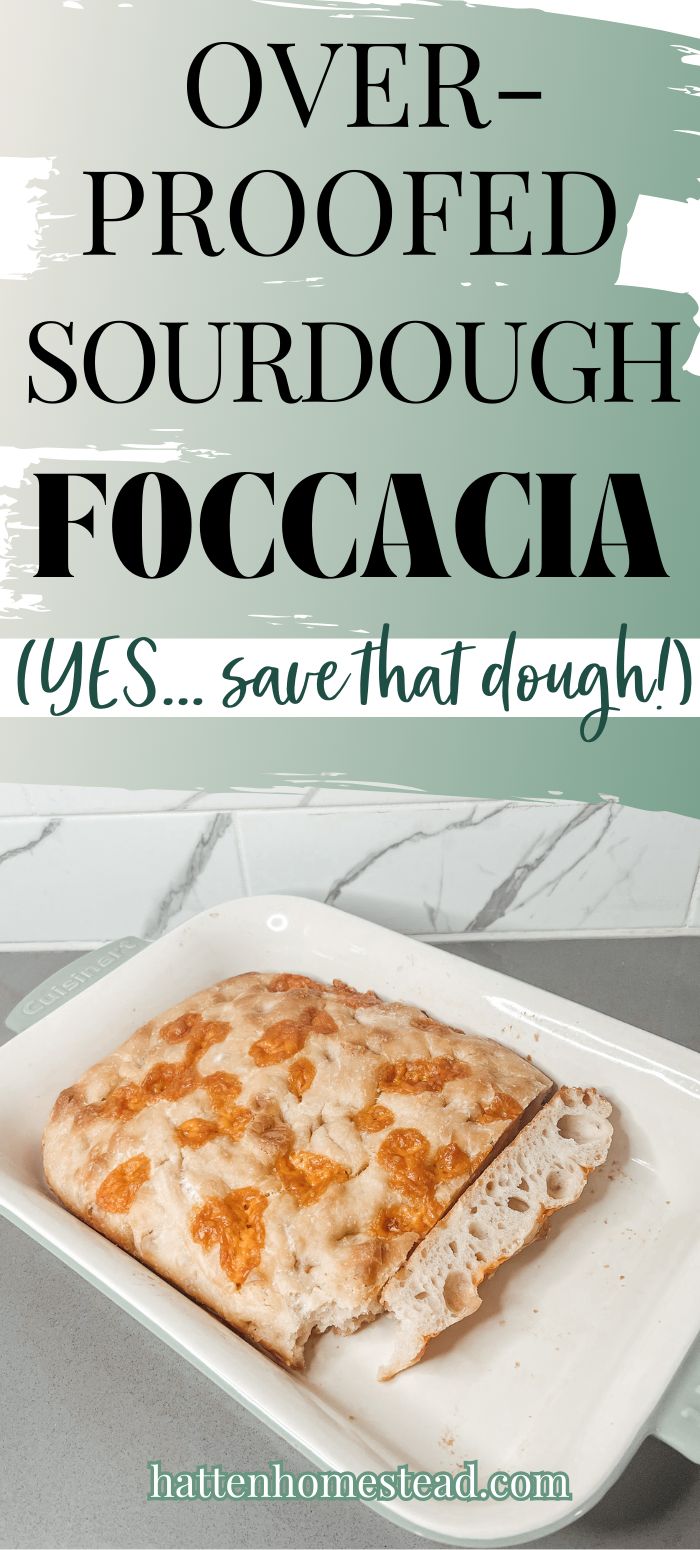 simple sourdough focaccia Make Focaccia, Sourdough Focaccia Recipe, Foccacia Recipe, Simple Sourdough, Sourdough Focaccia, Foccacia Bread, Sourdough Recipe, Focaccia Bread Recipe, Focaccia Recipe