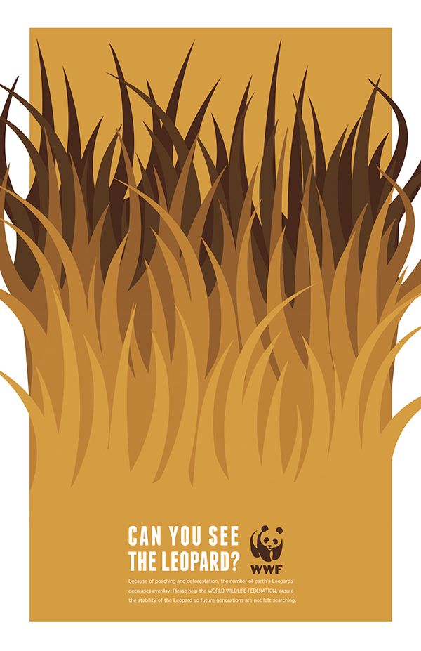 a poster with the words can you see the leopard? in front of tall grass