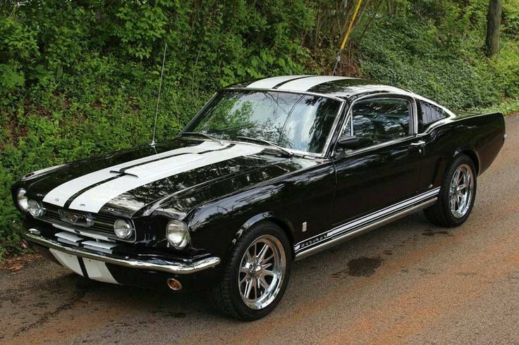 a black and white mustang sitting on the side of a road next to some trees