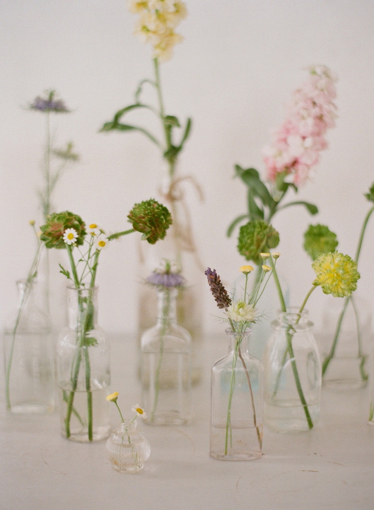 several vases filled with different types of flowers