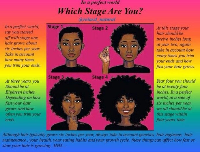 Stages Natural Hair Tips For Black Women, Style Chart Aesthetic, Hair Growth Timeline, Stages Of Hair Growth, Afro Hair Growth, Hair Growth Stages, Super Hair Growth, Hair Growth Regimen, 4c Hair Growth