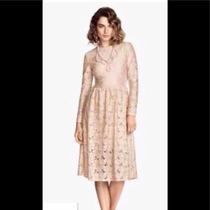 Great Looking Valentino-Look Lace Dress. Simple And Elegant. Fitted Through Top. Soft And Flowing Skirt. Comfortable Stretch Side Panels For Ease And Comfort. Lace Is Stretchy Throughout. Back Zip. Lined. Nude Blush Pink. Nwt Size S. Feminine Cream Lace Dress For Spring, Feminine Long Sleeve Lace Dress For Spring, Spring Beige Lace Dress For Formal Occasions, Beige Lace Dress For Spring Formal Occasions, Elegant H&m Wedding Dress, H&m Midi Dress For Spring Party, Feminine Beige Lace Dress For Spring, Feminine H&m Dresses For Brunch, H&m Summer Wedding Dress