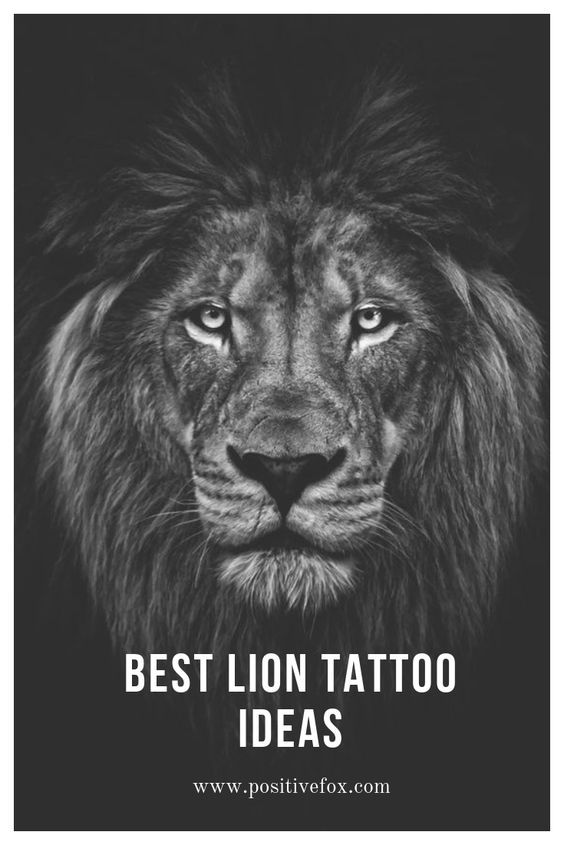 a black and white photo of a lion with the words best lion tattoo ideas on it