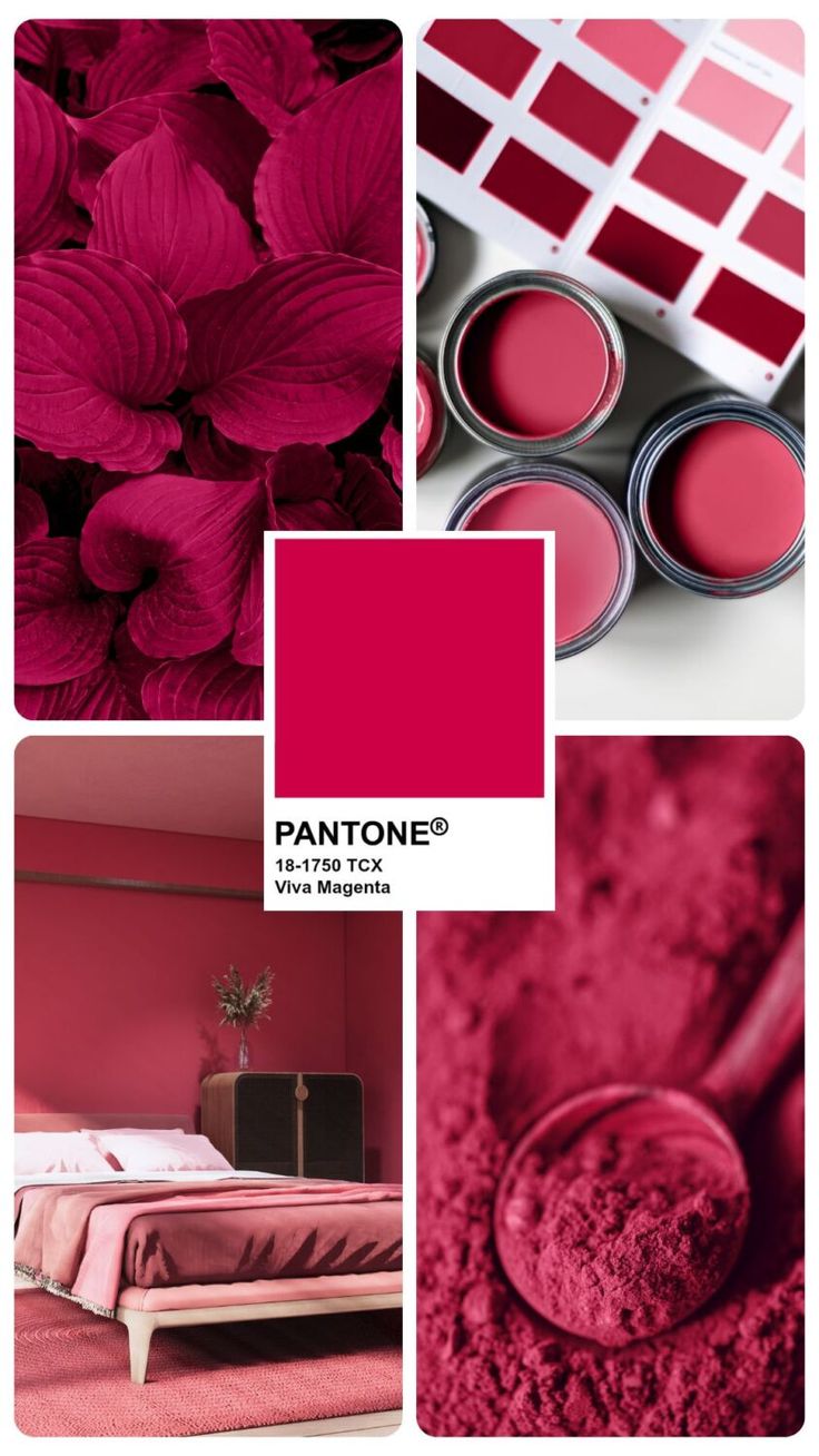 Viva Magenta Color Collage Pantone Viva Magenta 2023, Red Living Room Color Scheme, 2023 Color Of The Year, Pink Painted Walls, Summer Color Palettes, Pantone Trends, Fit School, Pantone Palette, 2023 Color