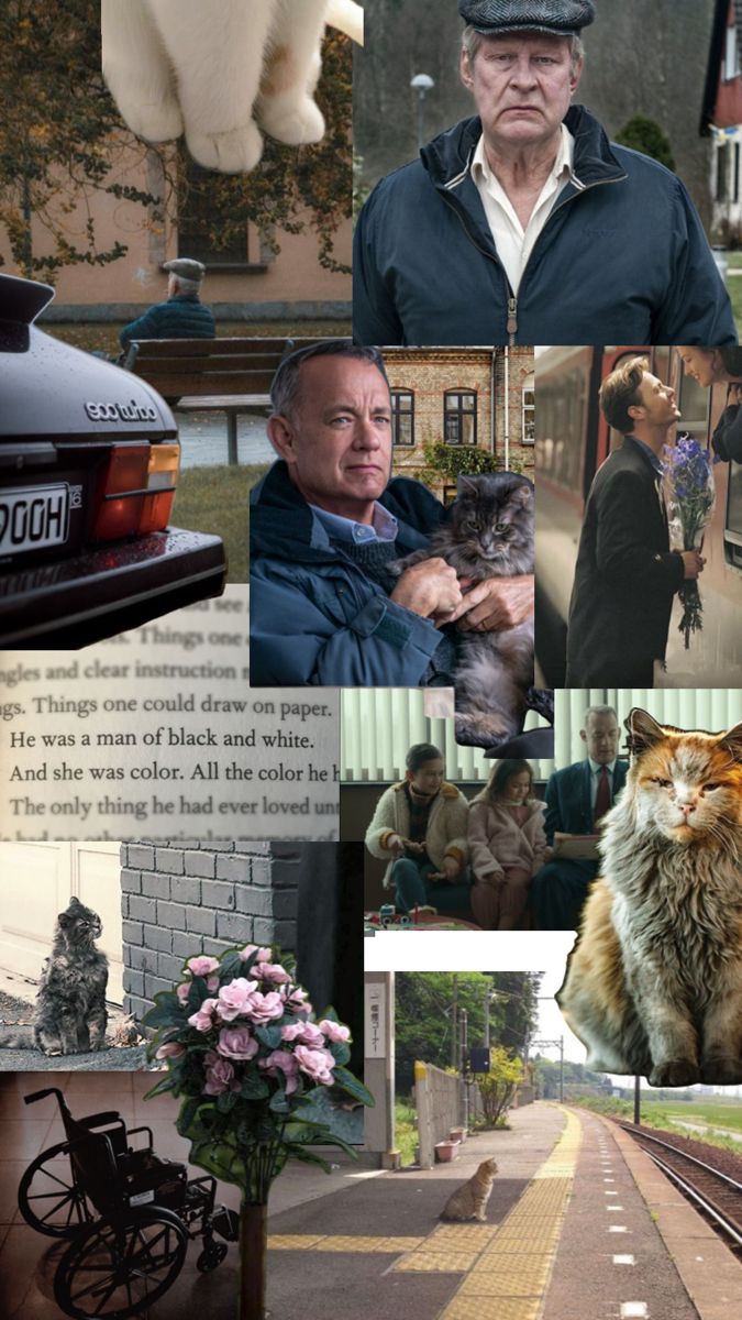 the collage shows people and animals in different scenes, including an old man with a cat on his lap