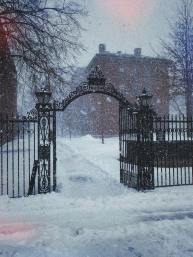 an iron gate in the middle of a snow covered street with trees and buildings behind it