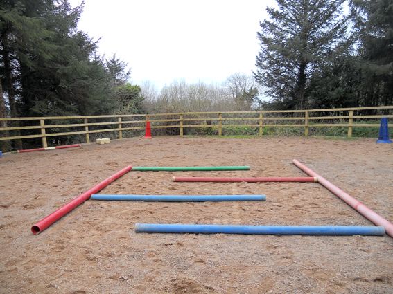 an obstacle course in the middle of a sandy area with blue and red poles sticking out of it