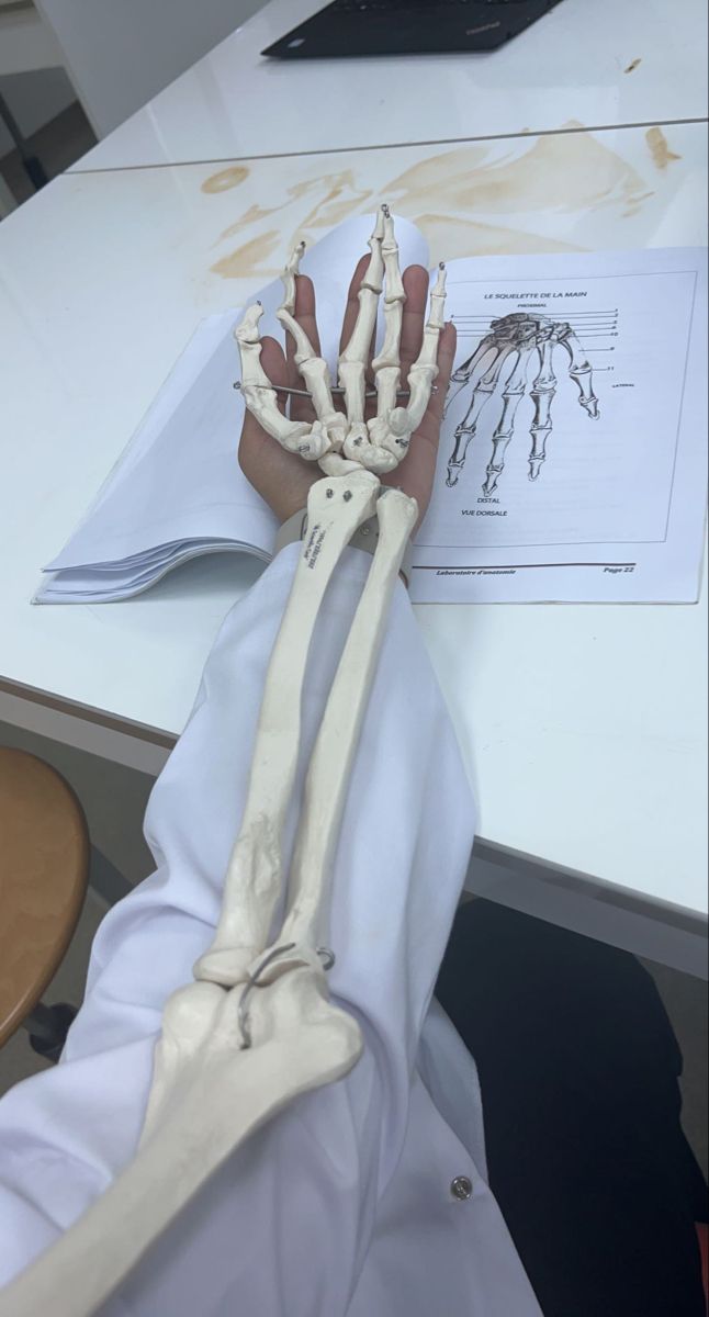 a person's hand with bones attached to it