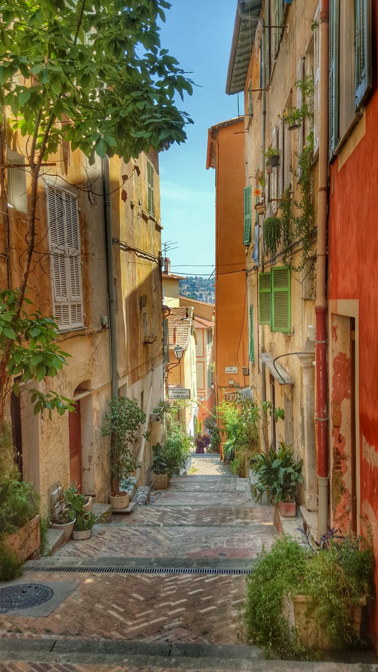 an alley way with many windows and plants growing on the side of each building's sides