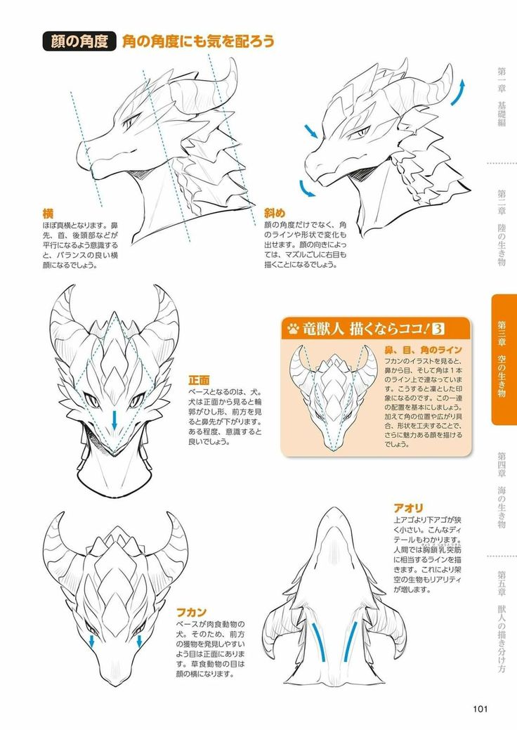 the instructions for how to draw an origami dragon from pokemon's movie