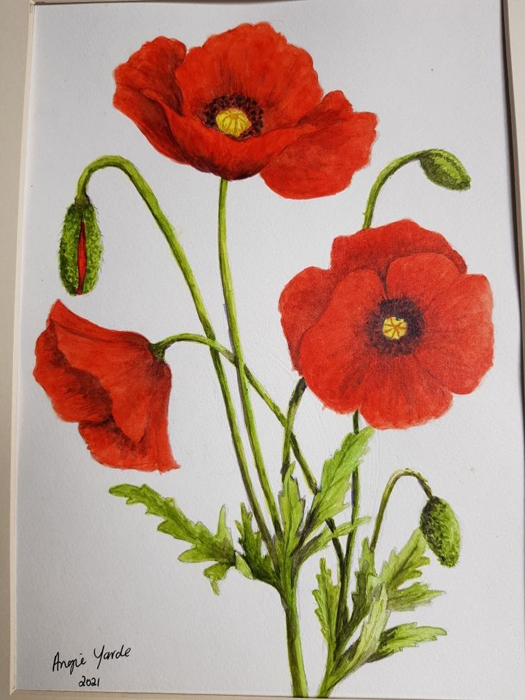 a painting of three red flowers on a white background with green stems and leaves in the center